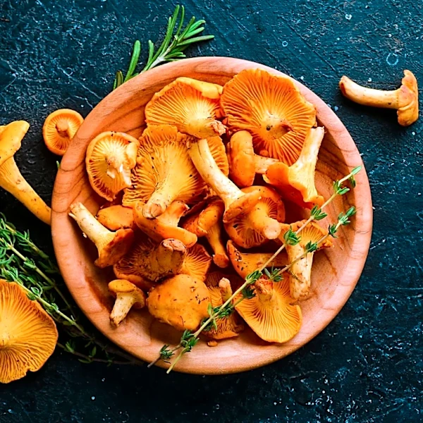 Chanterelle Mushrooms Valued for Rich Flavor in U.S. Culinary Preparations