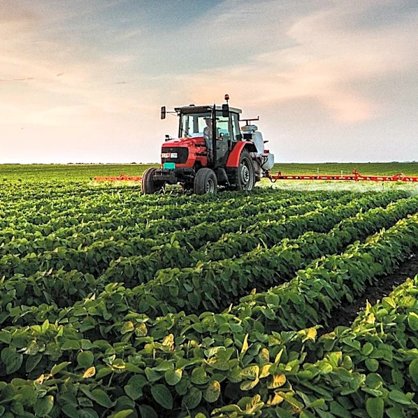 Franklin Farmers Co-op Continues to Provide Essential Services in Franklin County, Tennessee