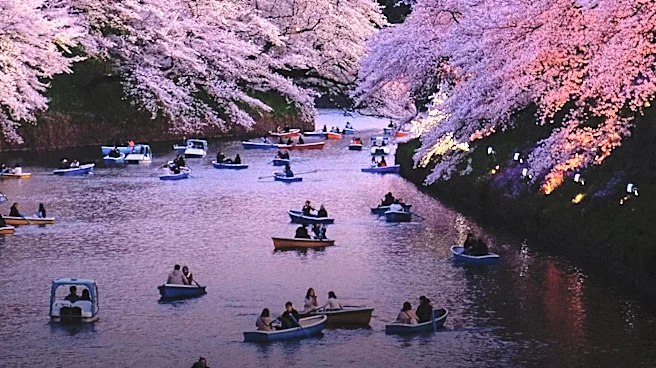Tokyo Experiences Distinct Seasonal Shifts Impacting Daily Life and Tourism