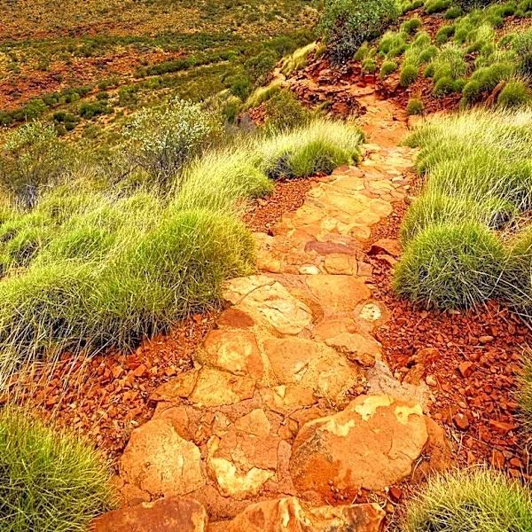 Las Vegas Area Offers Diverse Hiking Trails with Scenic Views