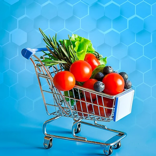 Mercato Launches Subscription-Based Same-Day Grocery Delivery Service