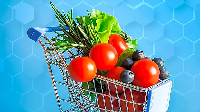 Mercato Launches Subscription-Based Same-Day Grocery Delivery Service