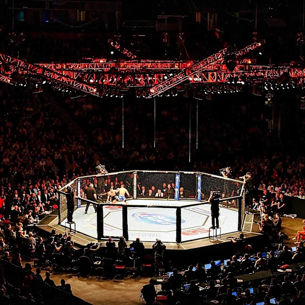 California Athletic Commission Issues Cease-and-Desist for 'Human vs. Robot' Cage Match