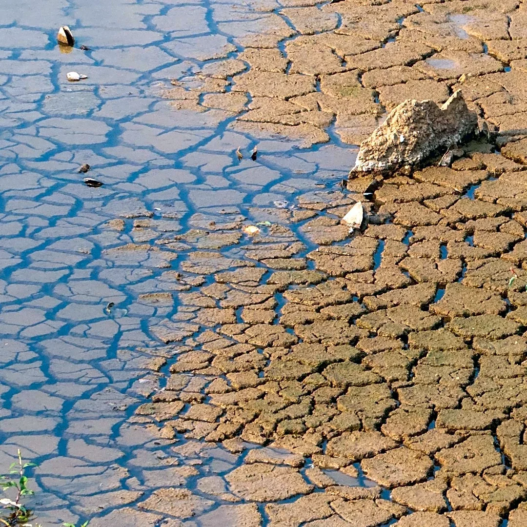 Small Business Administration Offers Disaster Loans to Drought-Affected Businesses in Western States