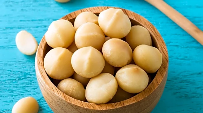 Macadamia Nuts and Other Foods Recommended for Anti-Inflammatory Diet