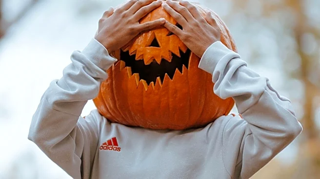 Davey Havok's Vocals Featured in AFI's 'Fall Children' on Halloween Playlist