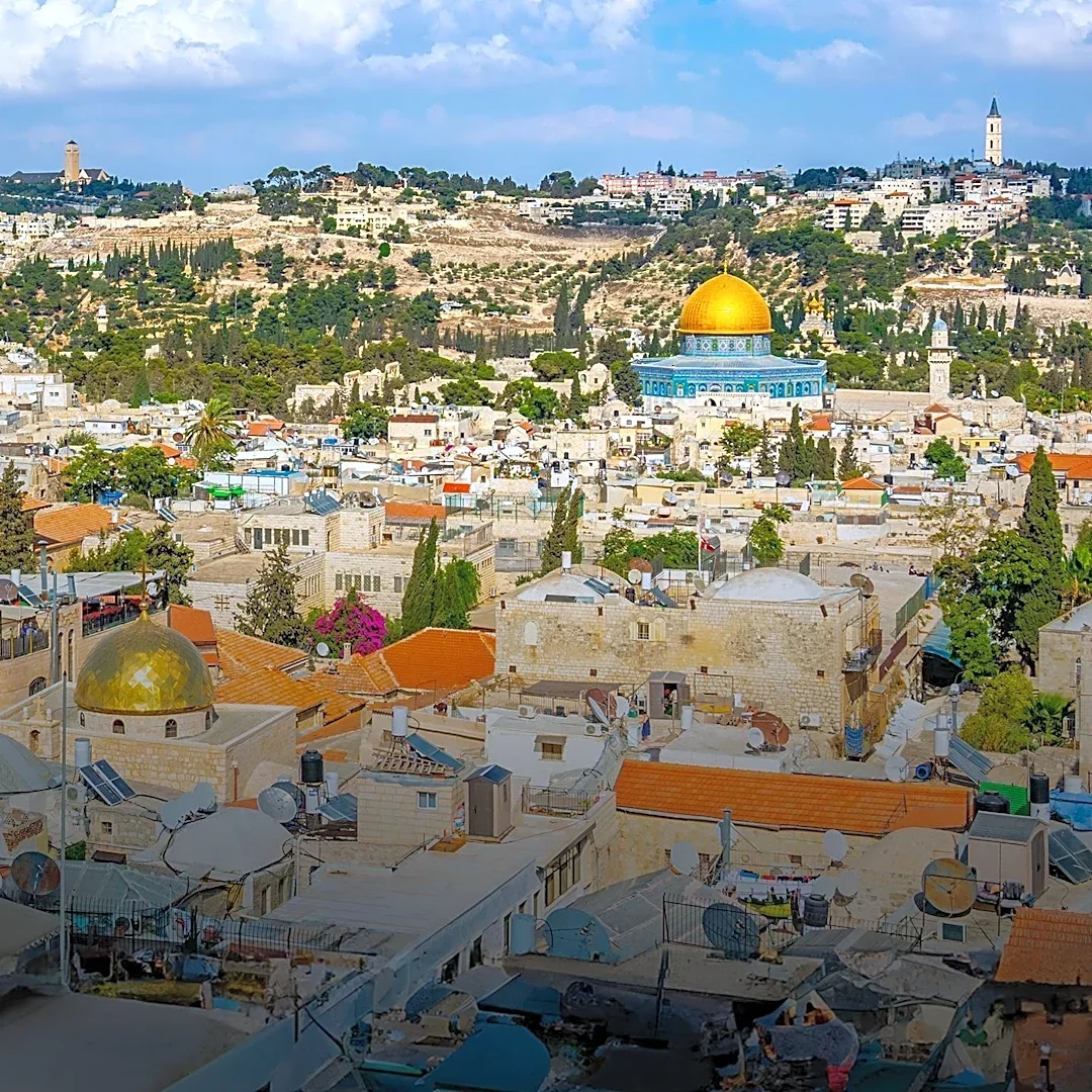 New Israeli TV Series 'The Escape' and 'Cupertino' Debut, Alongside 'Shalom' Film on Jerusalem Zoo