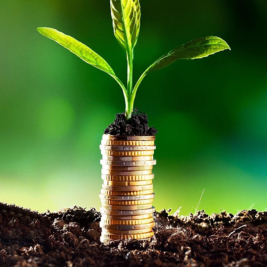 Guilford County to Host Workshop on Small Business Lending Preparedness