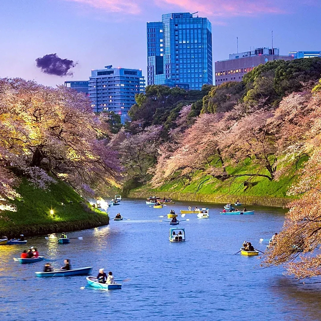 Tokyo's Ueno Park Offers Diverse Cultural and Recreational Experiences for Visitors