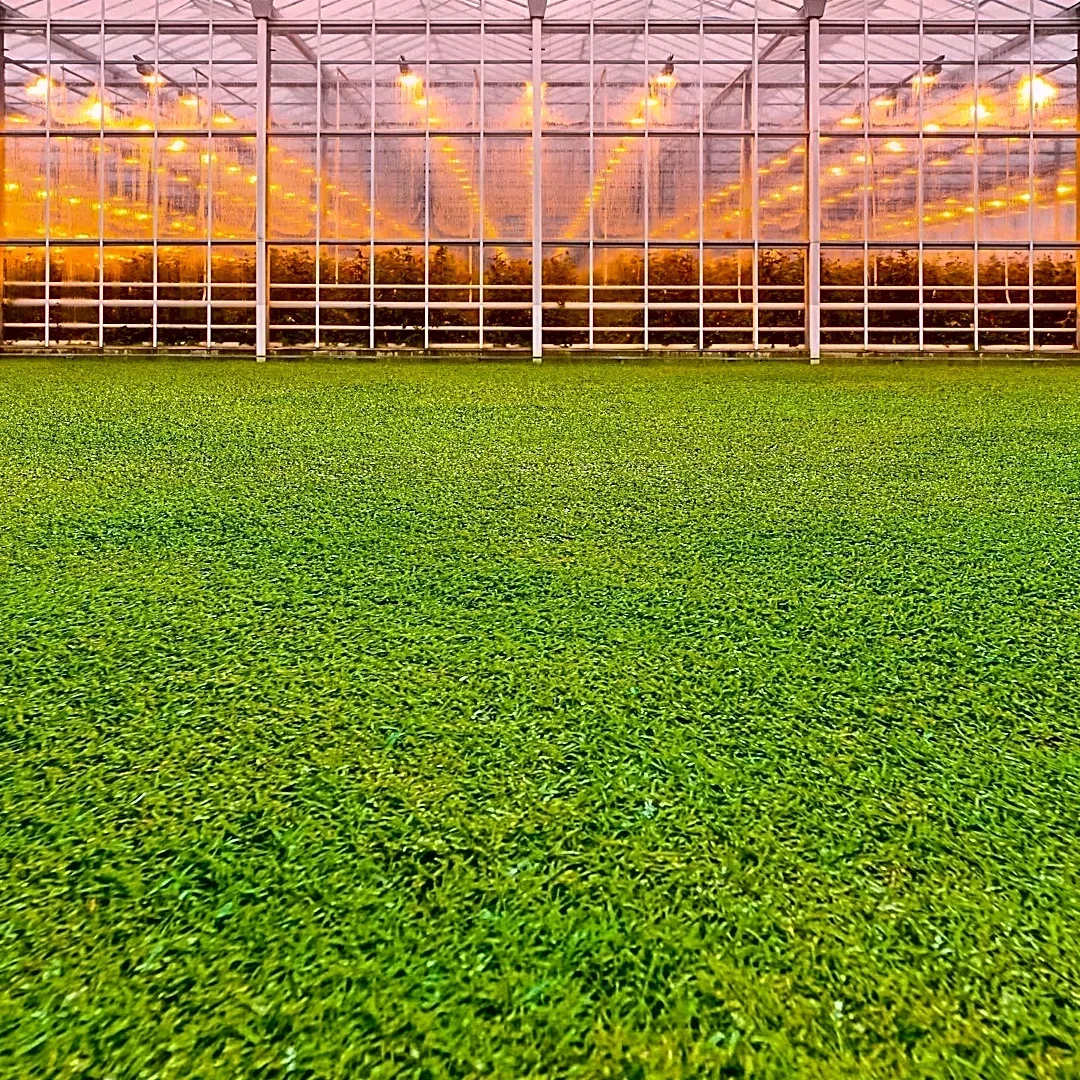 Rotem Agricultural Climate Control Technology Continues Under Speria Brand, Emphasizing Connected Solutions