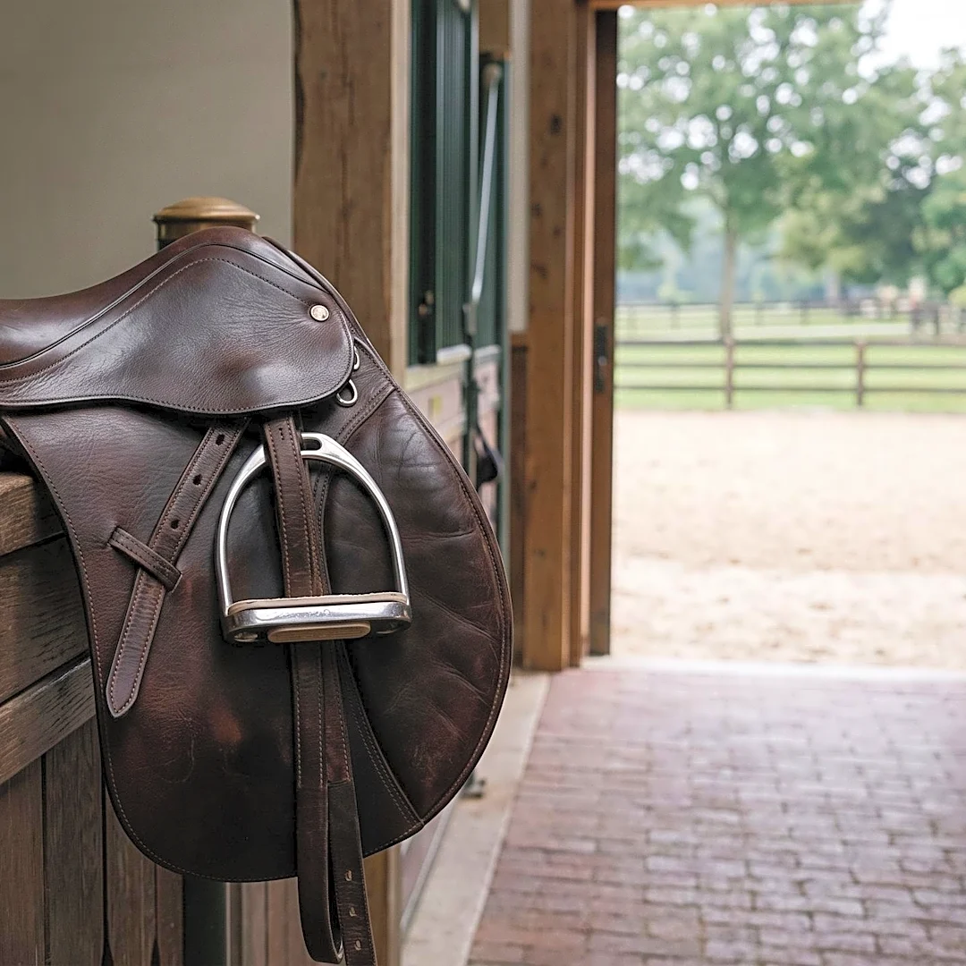 Nico Nyssen's Career-Starting Grand Prix Horse, Sauvage, Passes Away