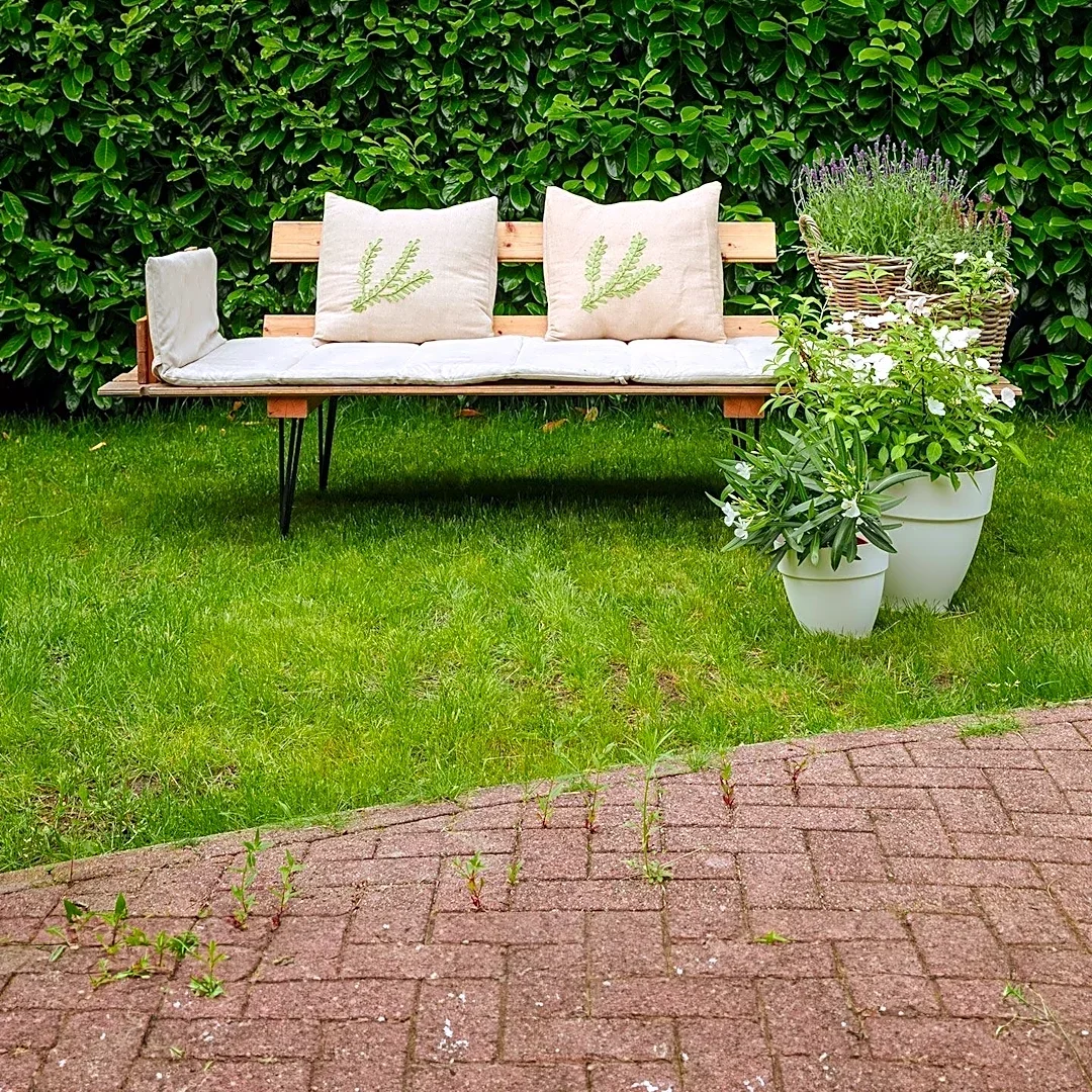 Gardening Know How Recommends Privacy Plants for Year-Round Seclusion