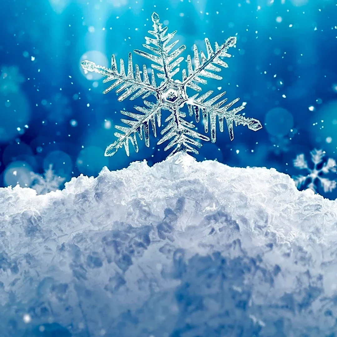 Snowflake CEO Discusses AI's Future Impact on Markets and Finance