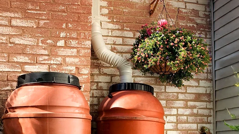 Los Angeles Home Gardeners Advised to Observe Rain Patterns for Swale Design
