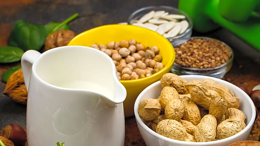 Protein Boom Fuels Confectionery Growth, Driven by Health and Indulgence Trends