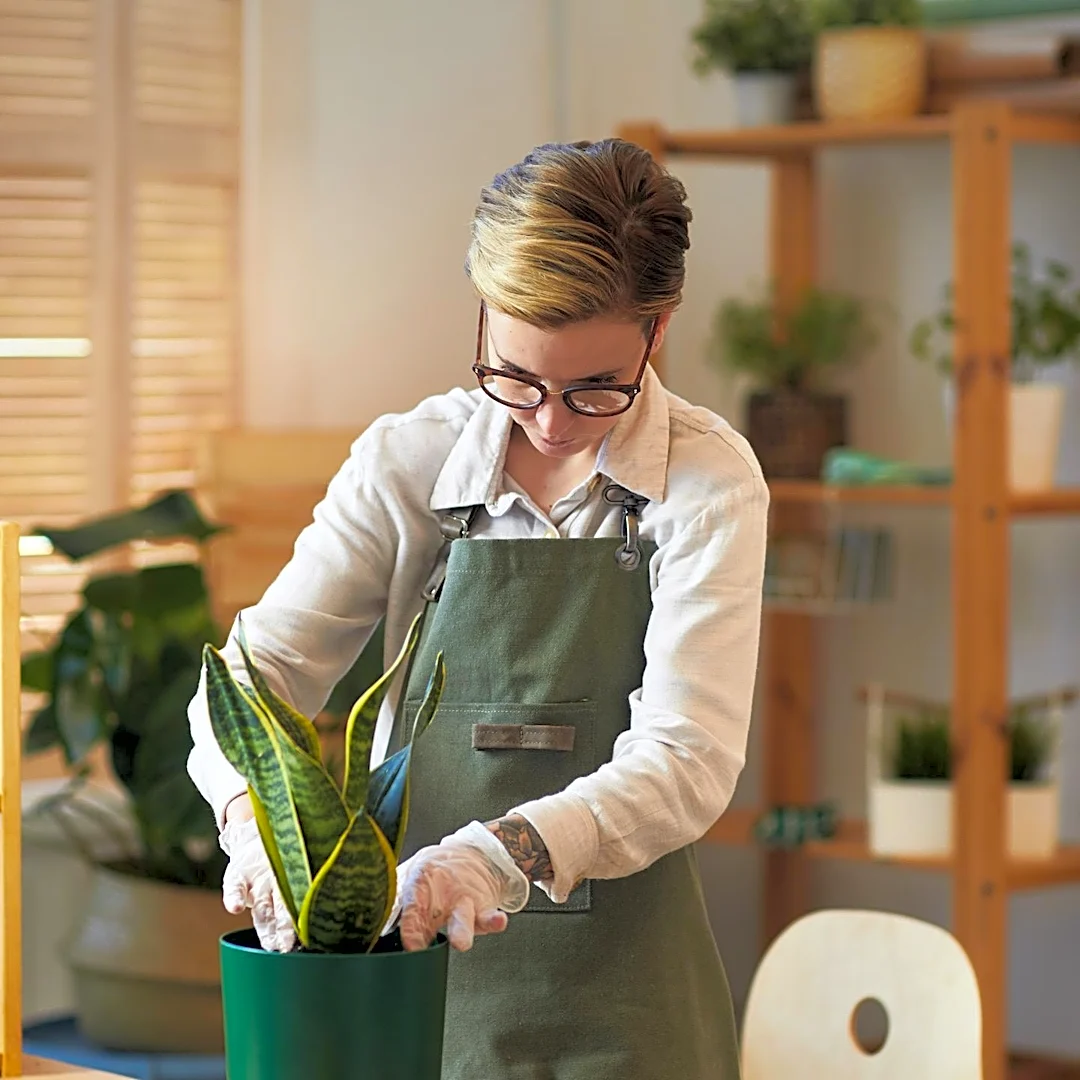 Plant Care 101 Workshop to Offer Houseplant Health Fundamentals