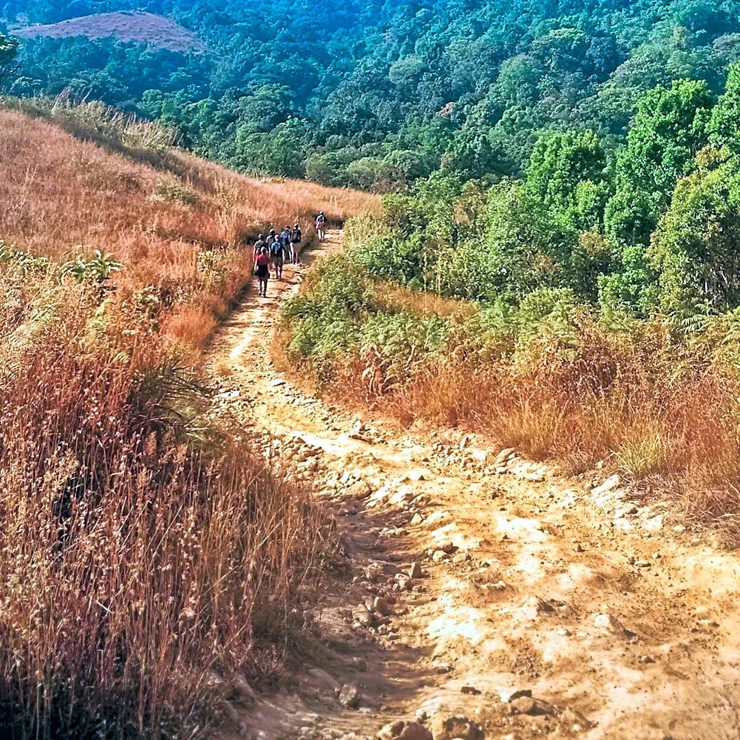 LA Casual Hiking Group Organizes Relaxed Hikes in Pasadena and Glendale