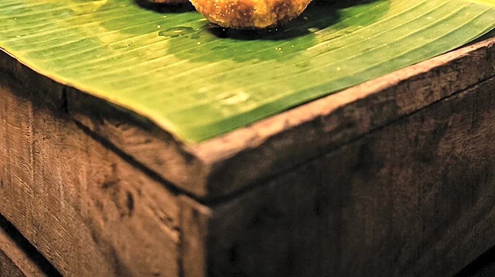 Cambridge's The Mushroom Shop Expands, Hosts Second Annual Mushroom Fest