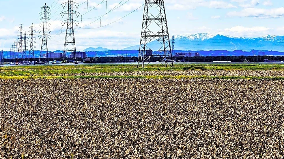 Xcel Energy Faces Scrutiny Over Data Center Power Demands and Proposed Tariffs in Colorado