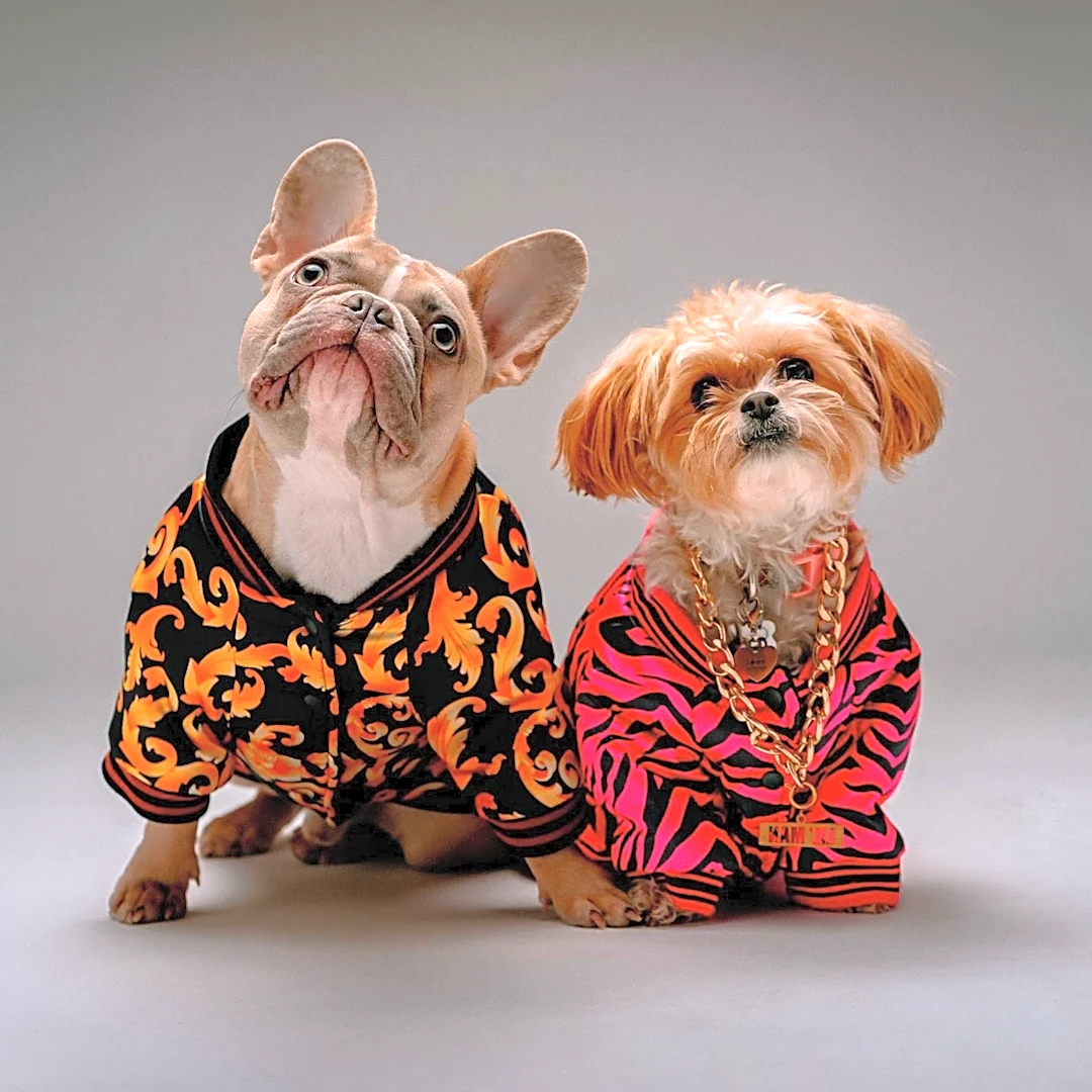 Paris Dog Week Debuts with Canine Fashion Shows and Wellness Events