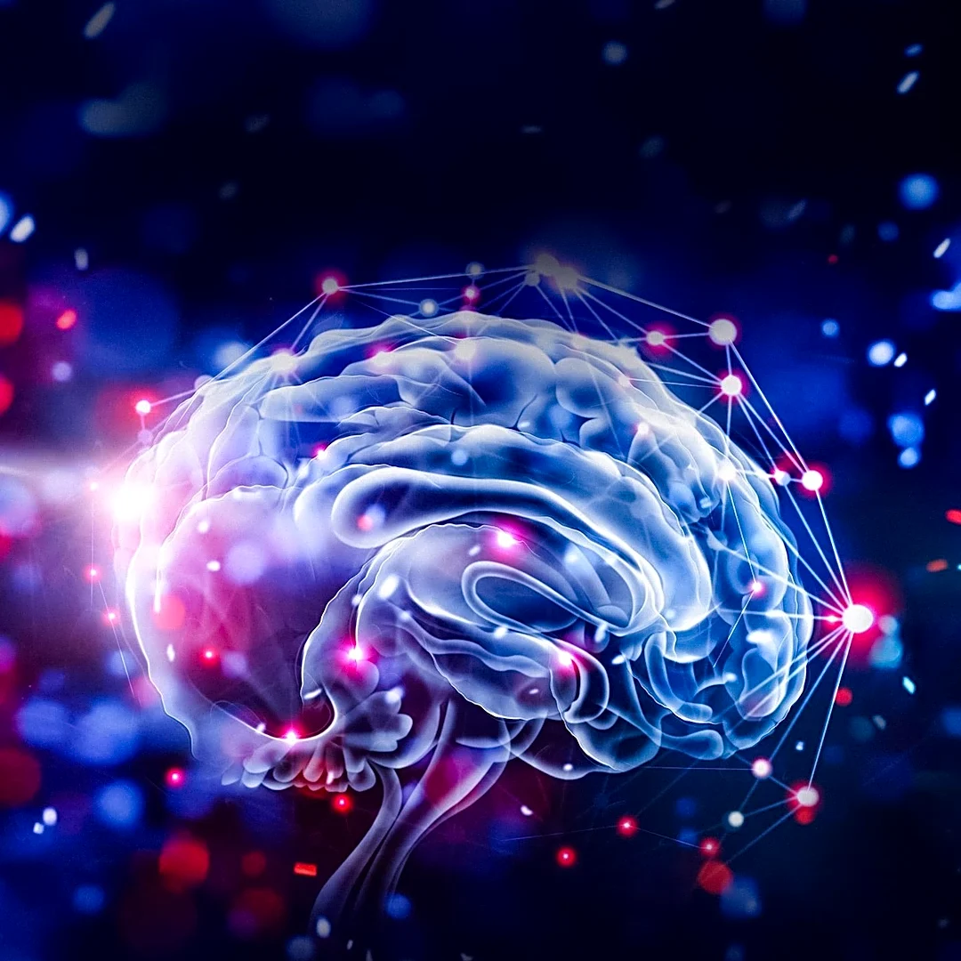 Nootropics Market Sees Rise in Cognitive Enhancement Supplements Amidst Varied Efficacy and Safety Concerns
