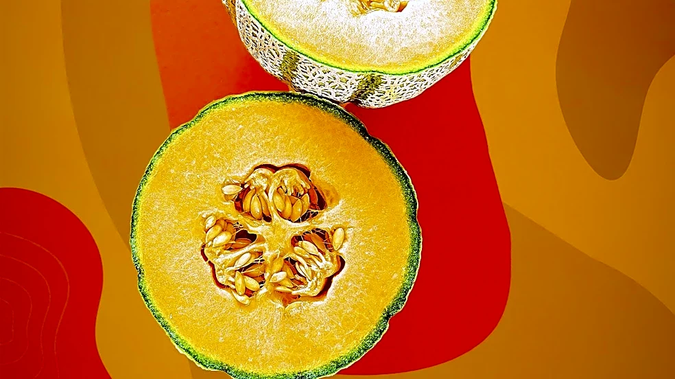 Ripe Melon Marketing Launches RIPE Process™ for Small Business Growth