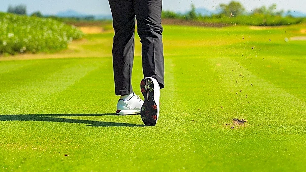 LSU Men's Golf Team Rises to T7 at Fallen Oak Collegiate Invitational, Dan Hayes Leads Individually