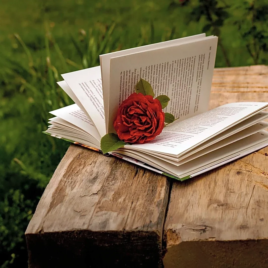 Christian Daily International Explores Life's Pleasures, Potential, and Difficulties Through Rose Metaphor