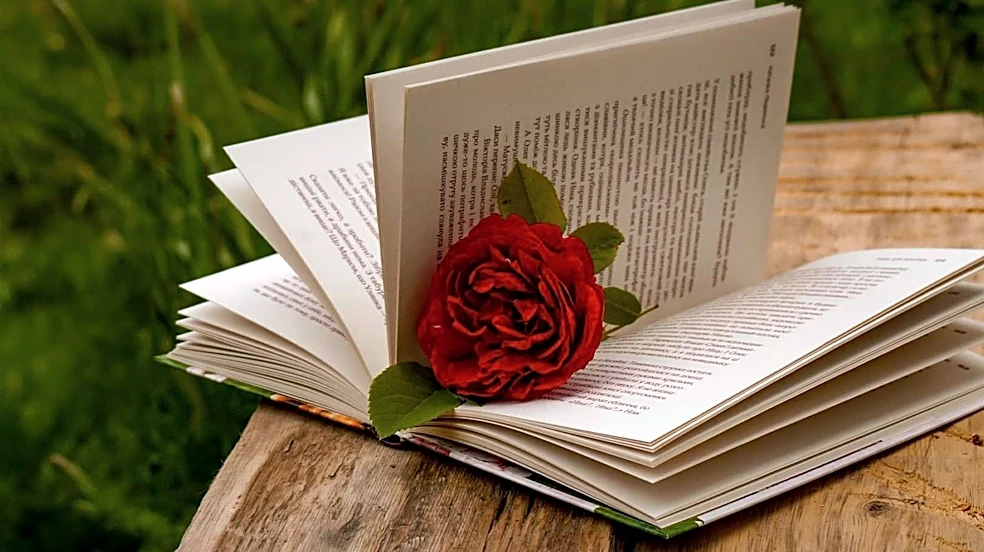 Christian Daily International Explores Life's Pleasures, Potential, and Difficulties Through Rose Metaphor