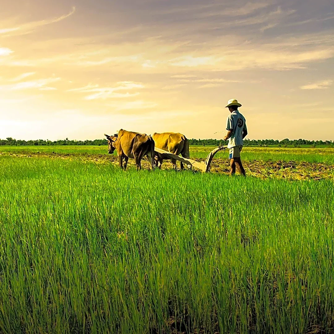 NRBC Bank Holds Workshop to Boost Agriculture and CMSME Financing in Bangladesh