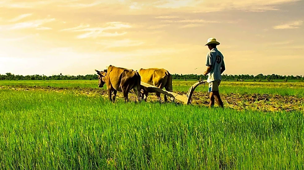 NRBC Bank Holds Workshop to Boost Agriculture and CMSME Financing in Bangladesh