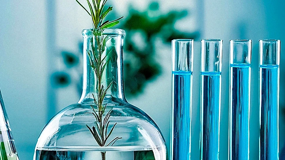 Wish Farms Recruits Former Driscoll's Breeder Carlos Fear to Lead Genetic Development
