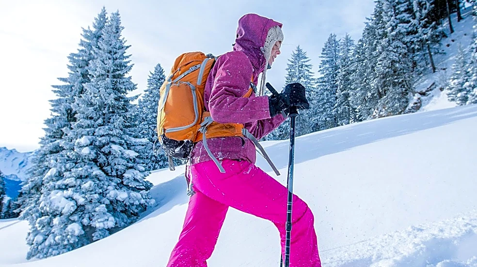 Betty Ford Alpine Gardens Announces Guided Snowshoe Tours for Winter Season