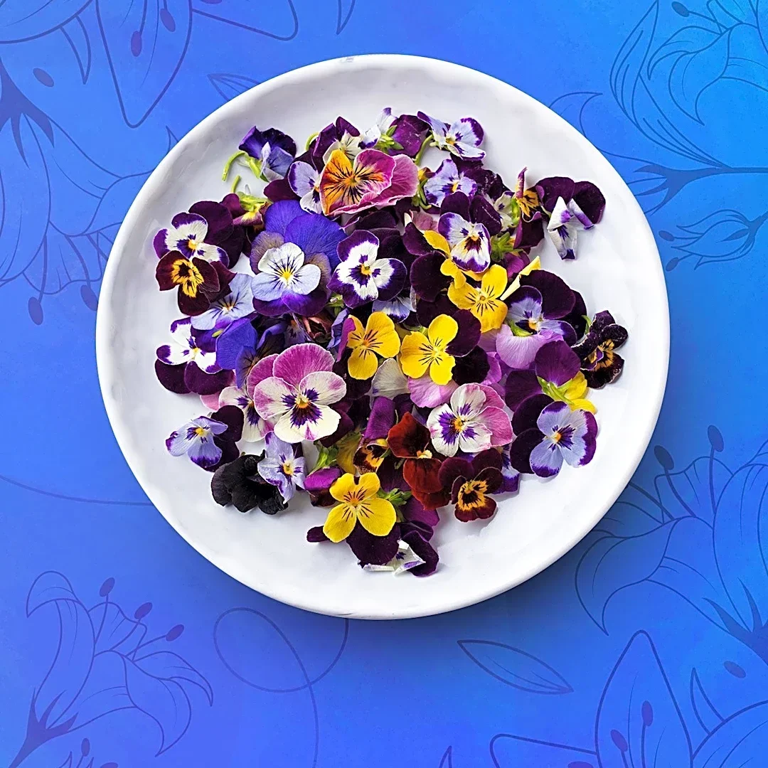 Edible Flowers Offer Health Benefits and Culinary Versatility