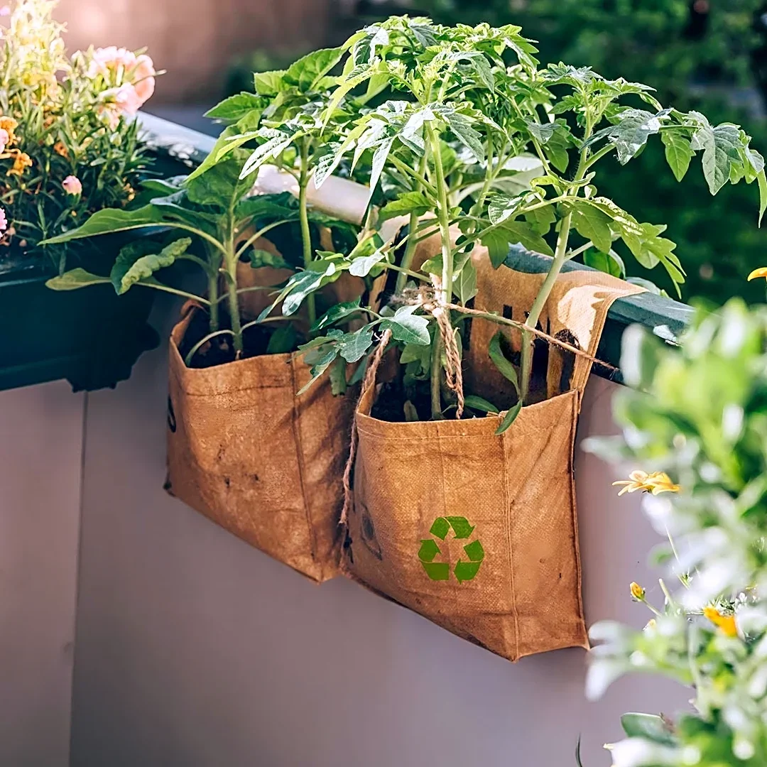 Container Gardening Offers Versatile Solutions for Urban and Small Spaces