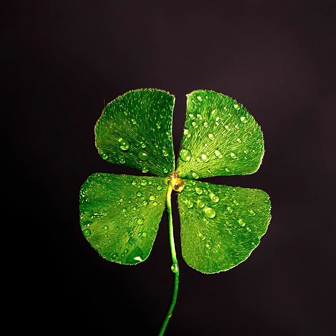 CytoDyn Names Robert Hoffman CEO, Highlights Early CLOVER Data in Metastatic Colorectal Cancer