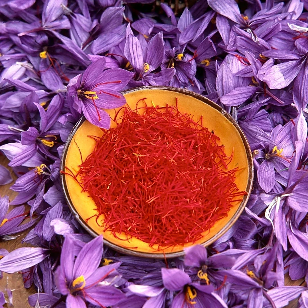 Home Gardeners Can Cultivate Saffron for Personal Use, Emphasizing Specific Crocus Species and Growing Conditions