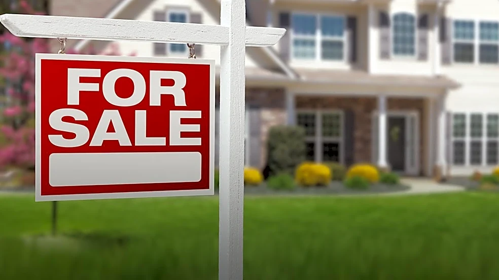 Tiffany Shook, Broker Associate, Specializes in Colorado Foothill Real Estate