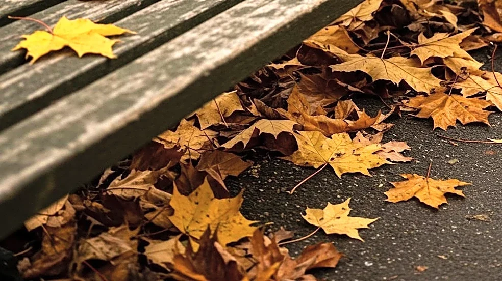 Short Shorts Film Festival Asia 2026 Autumn to Feature AI Showcase and Emerging Japanese Talent