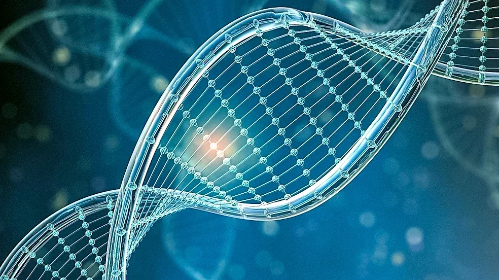 Genetic-Based Diets Offer Personalized Nutrition Guidance, Acknowledging Limitations