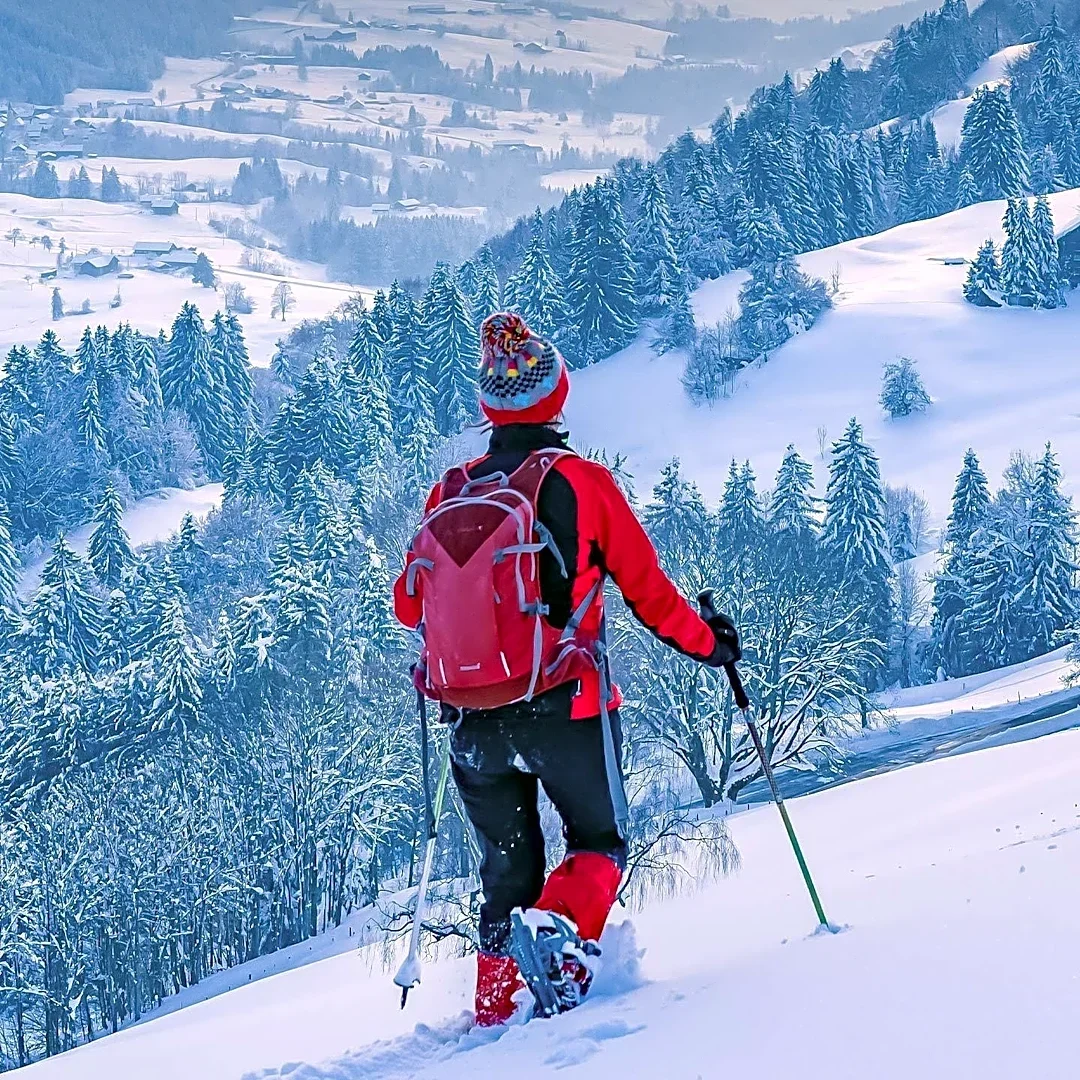 Pfeiffer Nature Center Offers Snowshoeing Trails in Portville, NY