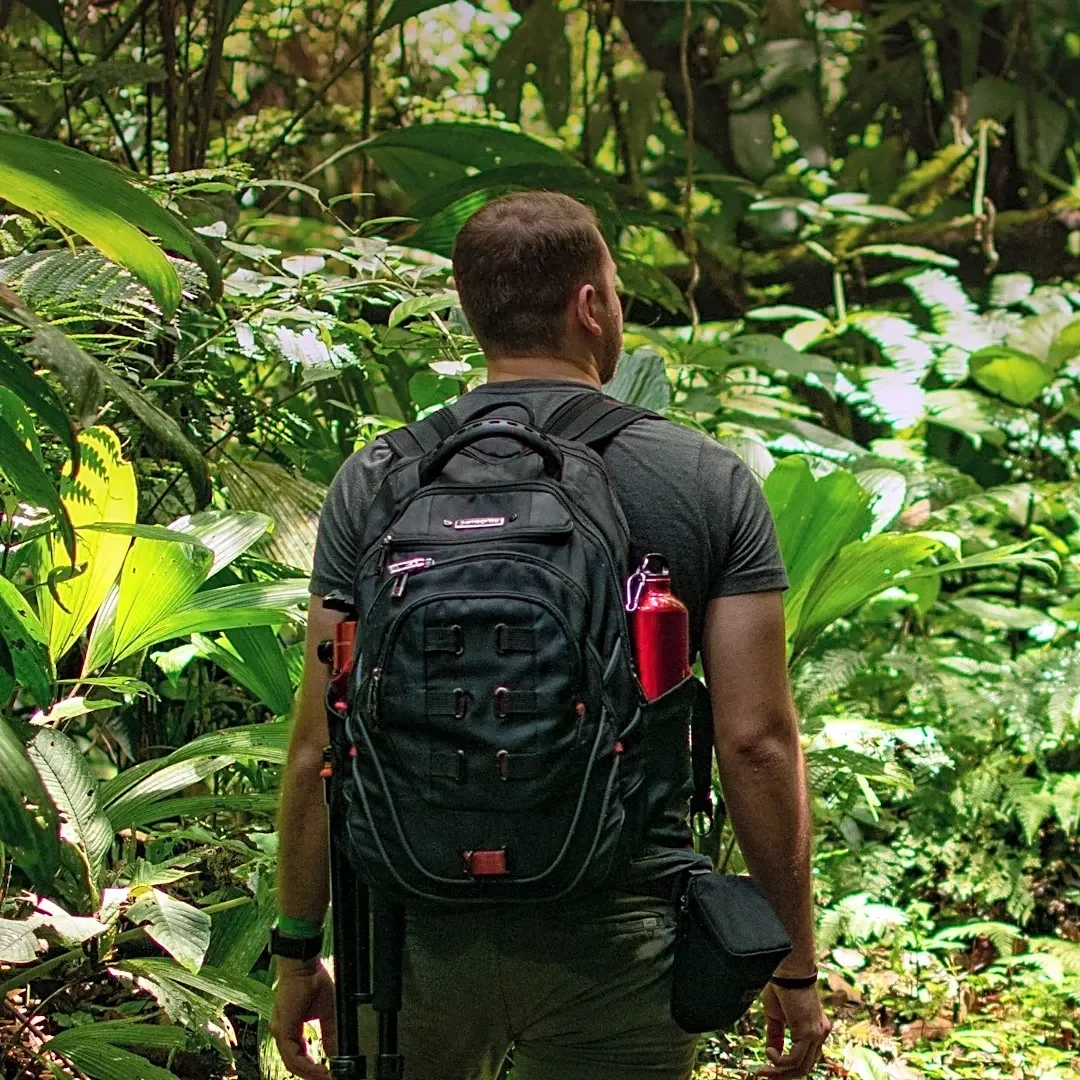 Cinnamon Wild Yala Offers Guided Nature Walks for Ecosystem Exploration