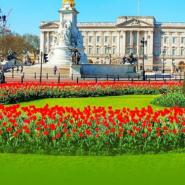 Travel Experts Warn Against Common Faux Pas for U.S. Tourists in England
