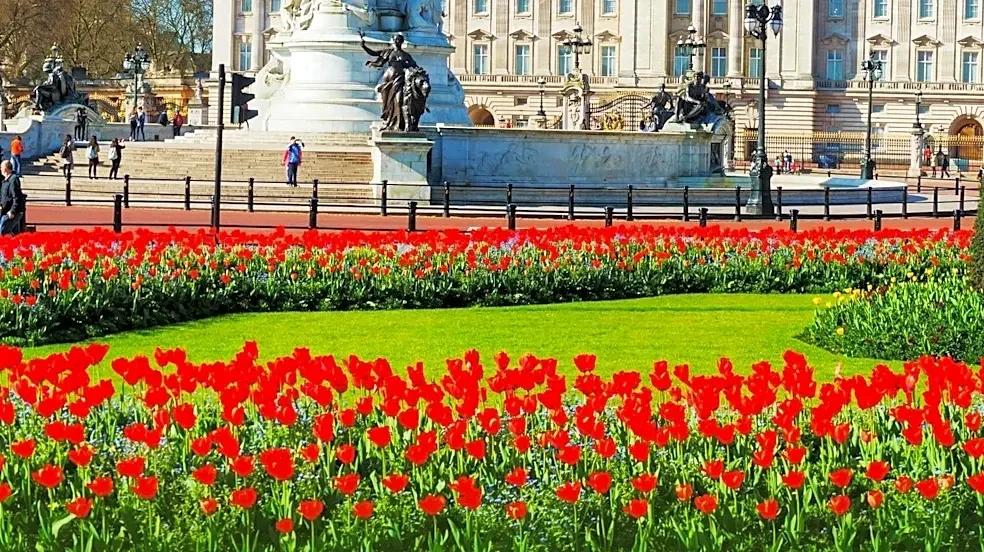 Travel Experts Warn Against Common Faux Pas for U.S. Tourists in England