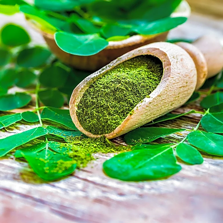 Moringa Powder Integration into Daily Routines Emphasized for Wellness