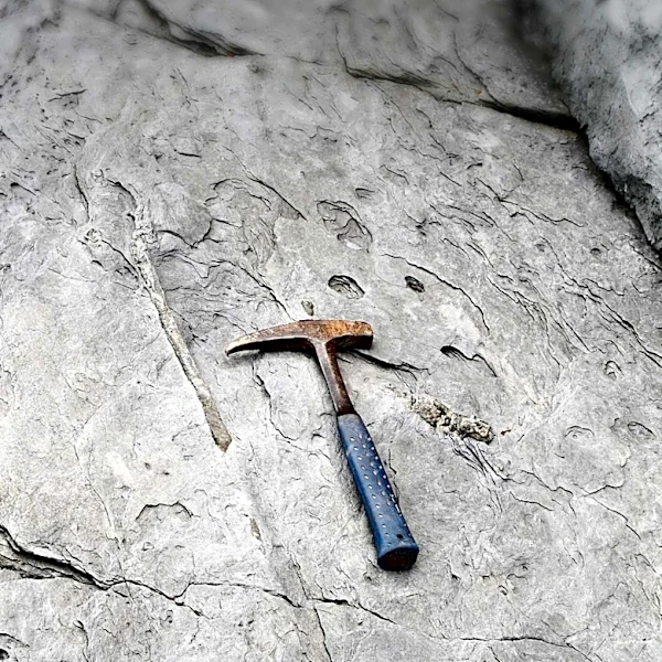 Minaurum Silver Discovers High-Grade Blind Silver Vein at Alamos Project in Mexico