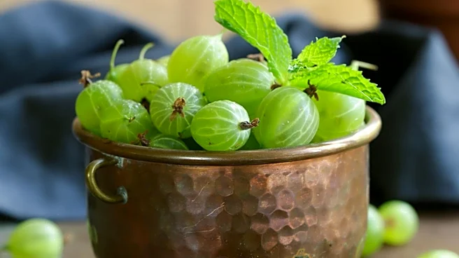 Ceylon Gooseberries: A Fruit with High Antioxidant Content and Diverse Culinary Uses