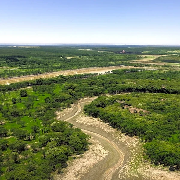 Twin Ridge Ranch in Mullin, Texas, Offers 137.11-Acre Hunting and Recreation Property