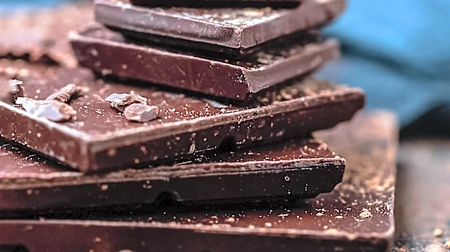 Leading Manufacturers Shape Sea Salt Chocolate Market with Regional Focus and Specialization