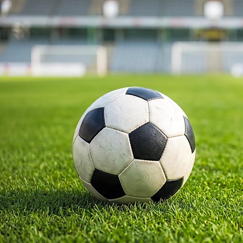 UMBC Men's Soccer Team Defeated by UNH Wildcats 5-1 on Senior Day